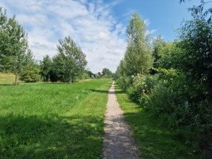 
                            <b>Smal wandelpad tussen groene grasvelden en bomen.</b><br>
                                                        <b>ISO:</b> 50 | <b>Sluitertijd:</b> 1/11364 | <b>Diafragma:</b> f/1.8 | <b>Datum:</b> 2025-07-20

                        