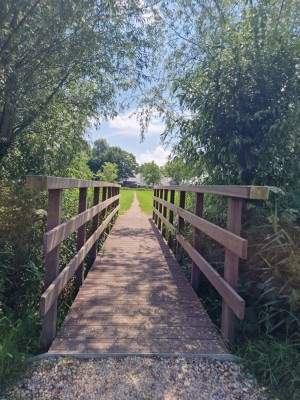 
                            <b>Houten brug leidt naar een pad tussen groene bomen en struiken.</b><br>
                                                        <b>ISO:</b> 50 | <b>Sluitertijd:</b> 990099/1000000000 | <b>Diafragma:</b> f/1.8 | <b>Datum:</b> 2025-07-20

                        