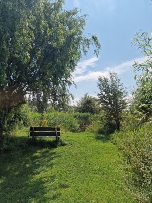 
                            <b>Bankje omringd door groen met blauw lucht op achtergrond.</b><br>
                                                        <b>ISO:</b> 50 | <b>Sluitertijd:</b> 1/2294 | <b>Diafragma:</b> f/1.8 | <b>Datum:</b> 2025-07-20

                        