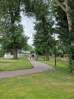 
                            <b>Twee fietsers op een pad geflankeerd door hoge bomen.</b><br>
                                                        <b>ISO:</b> 50 | <b>Sluitertijd:</b> 1/645 | <b>Diafragma:</b> f/2.4 | <b>Datum:</b> 2025-07-27

                        