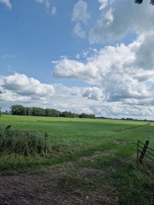 
                            <b>Groene weide met bomen en wolkenrijke lucht op de achtergrond.</b><br>
                                                        <b>ISO:</b> 50 | <b>Sluitertijd:</b> 1/17857 | <b>Diafragma:</b> f/1.8 | <b>Datum:</b> 2025-07-27

                        