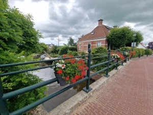 
                            <b>Bloemen hangen aan brugleuning met huis op de achtergrond.</b><br>
                                                        <b>ISO:</b> 50 | <b>Sluitertijd:</b> 1/756 | <b>Diafragma:</b> f/2.2 | <b>Datum:</b> 2025-07-27

                        