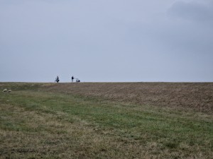 
                            <b>Twee fietsers op een dijk met schapen in het gras.</b><br>
                                                        <b>ISO:</b> 50 | <b>Sluitertijd:</b> 1/3788 | <b>Diafragma:</b> f/2.4 | <b>Datum:</b> 2025-07-26

                        