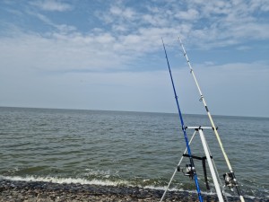 
                            <b>Twee hengels in steunen bij water, klaar voor vissen.</b><br>
                                                        <b>ISO:</b> 50 | <b>Sluitertijd:</b> 1/16949 | <b>Diafragma:</b> f/1.8 | <b>Datum:</b> 2025-07-26

                        