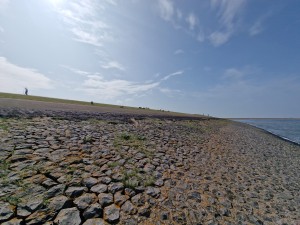 
                            <b>Stenen dijk met wandelaar en gras langs de kustlijn.</b><br>
                                                        <b>ISO:</b> 50 | <b>Sluitertijd:</b> 1/8333 | <b>Diafragma:</b> f/2.2 | <b>Datum:</b> 2025-07-26

                        
