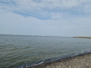 
                            <b>Zeezicht met enkele zeilboten in de verte, stenen voorgrond.</b><br>
                                                        <b>ISO:</b> 50 | <b>Sluitertijd:</b> 1/17544 | <b>Diafragma:</b> f/1.8 | <b>Datum:</b> 2025-07-26

                        