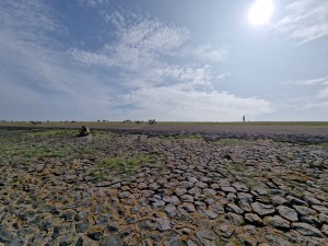 
                            <b>Uitgestrekt veld met stenen ondergrond, wandelaar in de verte zichtbaar.</b><br>
                                                        <b>ISO:</b> 50 | <b>Sluitertijd:</b> 1/10101 | <b>Diafragma:</b> f/2.2 | <b>Datum:</b> 2025-07-26

                        