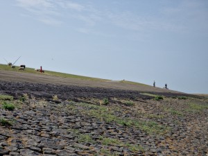 
                            <b>Mensen wandelen en fietsen op een dijk met schapen op de achtergrond.</b><br>
                                                        <b>ISO:</b> 50 | <b>Sluitertijd:</b> 1/5000 | <b>Diafragma:</b> f/2.4 | <b>Datum:</b> 2025-07-26

                        