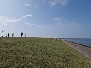 
                            <b>Schapen grazen op dijk, mensen wandelen langs kustlijn met windmolens.</b><br>
                                                        <b>ISO:</b> 50 | <b>Sluitertijd:</b> 1/18519 | <b>Diafragma:</b> f/1.8 | <b>Datum:</b> 2025-07-26

                        