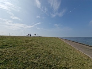 
                            <b>Drie mensen wandelen op een grasheuvel met enkele windmolens in de verte.</b><br>
                                                        <b>ISO:</b> 50 | <b>Sluitertijd:</b> 1/7299 | <b>Diafragma:</b> f/2.2 | <b>Datum:</b> 2025-07-26

                        