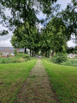 
                            <b>Smal stenen pad vanaf Borg Nittersum, omringd door groene bomen en gras.</b><br>
                                                        <b>ISO:</b> 50 | <b>Sluitertijd:</b> 1730103/1000000000 | <b>Diafragma:</b> f/1.8 | <b>Datum:</b> 2025-08-02

                        