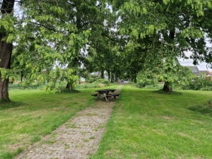 
                            <b>Picknicktafel op grasveld onder bomen, langs een smal pad bij Borg Nittersum.</b><br>
                                                        <b>ISO:</b> 50 | <b>Sluitertijd:</b> 2832861/1000000000 | <b>Diafragma:</b> f/1.8 | <b>Datum:</b> 2025-08-02

                        