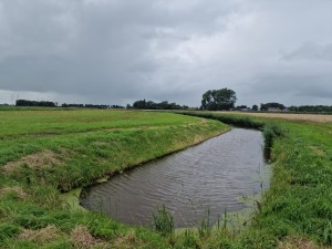 
                            <b>Kleine landelijke sloot omgeven door groene graslanden.</b><br>
                                                        <b>ISO:</b> 50 | <b>Sluitertijd:</b> 1/10417 | <b>Diafragma:</b> f/1.8 | <b>Datum:</b> 2025-08-02

                        