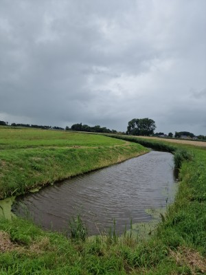 
                            <b>Rustige, kronkelende sloot omgeven door groene grasvelden.</b><br>
                                                        <b>ISO:</b> 50 | <b>Sluitertijd:</b> 1/13514 | <b>Diafragma:</b> f/1.8 | <b>Datum:</b> 2025-08-02

                        
