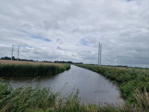 
                            <b>Smal waterkanaal met riet en elektriciteitsmasten aan de horizon.</b><br>
                                                        <b>ISO:</b> 50 | <b>Sluitertijd:</b> 1/18519 | <b>Diafragma:</b> f/1.8 | <b>Datum:</b> 2025-08-02

                        