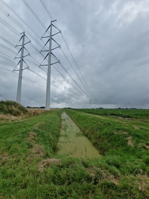 
                            <b>Hoogspanningsmasten naast een sloot in een groene landelijke omgeving.</b><br>
                                                        <b>ISO:</b> 50 | <b>Sluitertijd:</b> 1/4219 | <b>Diafragma:</b> f/2.2 | <b>Datum:</b> 2025-08-02

                        