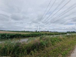 
                            <b>Water loop met grassen en hoogspanningsleidingen op de achtergrond, landelijke omgeving.</b><br>
                                                        <b>ISO:</b> 50 | <b>Sluitertijd:</b> 1/3597 | <b>Diafragma:</b> f/2.2 | <b>Datum:</b> 2025-08-02

                        