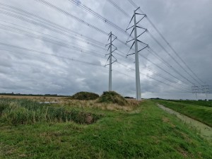 
                            <b>Hoge elektriciteitsmasten strekken zich uit over een graslandschap.</b><br>
                                                        <b>ISO:</b> 50 | <b>Sluitertijd:</b> 1/5051 | <b>Diafragma:</b> f/2.2 | <b>Datum:</b> 2025-08-02

                        