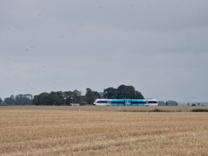 
                            <b>Wit-blauwe trein rijdt door uitgestrekt veld, omringd door vogels.</b><br>
                                                        <b>ISO:</b> 50 | <b>Sluitertijd:</b> 1/572 | <b>Diafragma:</b> f/4.9 | <b>Datum:</b> 2025-08-02

                        