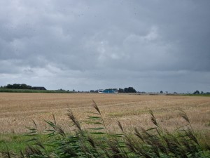 
                            <b>Blauw-witte trein rijdt langs uitgestrekt, goudgeel graanveld met struiken op voorgrond.</b><br>
                                                        <b>ISO:</b> 50 | <b>Sluitertijd:</b> 1/3226 | <b>Diafragma:</b> f/2.4 | <b>Datum:</b> 2025-08-02

                        