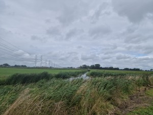 
                            <b>Stroommasten boven groene weilanden naast een kronkelende sloot.</b><br>
                                                        <b>ISO:</b> 50 | <b>Sluitertijd:</b> 1/18519 | <b>Diafragma:</b> f/1.8 | <b>Datum:</b> 2025-08-02

                        