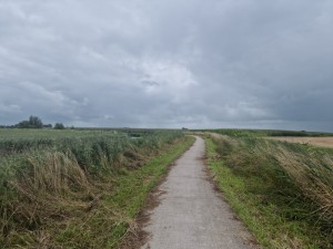 
                            <b>Smal betonnen pad tussen groene weilanden onder een bewolkte lucht.</b><br>
                                                        <b>ISO:</b> 50 | <b>Sluitertijd:</b> 1/14085 | <b>Diafragma:</b> f/1.8 | <b>Datum:</b> 2025-08-02

                        