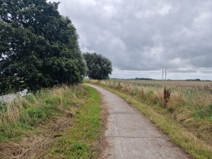 
                            <b>Bochtig pad langs bomen en gras in landelijk gebied.</b><br>
                                                        <b>ISO:</b> 50 | <b>Sluitertijd:</b> 1/8850 | <b>Diafragma:</b> f/1.8 | <b>Datum:</b> 2025-08-02

                        