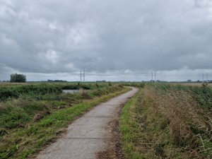 
                            <b>Kronkelend pad door een groen landschap met uitgestrekte velden.</b><br>
                                                        <b>ISO:</b> 50 | <b>Sluitertijd:</b> 1/12821 | <b>Diafragma:</b> f/1.8 | <b>Datum:</b> 2025-08-02

                        