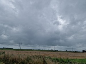 
                            <b>Uitgestrekt veld met hoogspanningsmasten onder een bewolkte hemel.</b><br>
                                                        <b>ISO:</b> 50 | <b>Sluitertijd:</b> 1/18519 | <b>Diafragma:</b> f/1.8 | <b>Datum:</b> 2025-08-02

                        