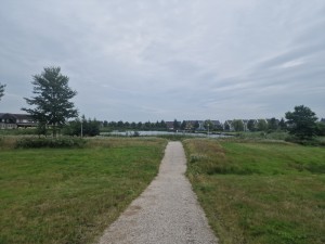 
                            <b>Smal wandelpad eindigt bij een kleine vijver met achtergrondhuizen.</b><br>
                                                        <b>ISO:</b> 50 | <b>Sluitertijd:</b> 1/7143 | <b>Diafragma:</b> f/1.8 | <b>Datum:</b> 2025-08-04

                        
