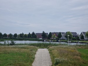 
                            <b>Wandelpad leidt naar meer met huizen aan de overkant.</b><br>
                                                        <b>ISO:</b> 50 | <b>Sluitertijd:</b> 1/1441 | <b>Diafragma:</b> f/2.4 | <b>Datum:</b> 2025-08-04

                        