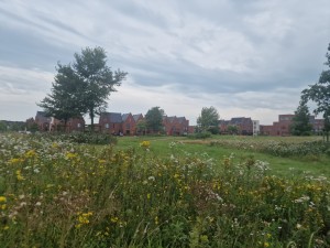 
                            <b>Rij moderne huizen met grasveld en wilde bloemen op de voorgrond.</b><br>
                                                        <b>ISO:</b> 50 | <b>Sluitertijd:</b> 1/6803 | <b>Diafragma:</b> f/1.8 | <b>Datum:</b> 2025-08-04

                        
