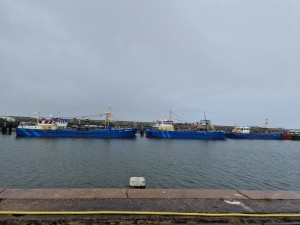 
                            <b>Rij blauwe vissersboten aangemeerd aan de kade.</b><br>
                                                        <b>ISO:</b> 50 | <b>Sluitertijd:</b> 1/6135 | <b>Diafragma:</b> f/1.8 | <b>Datum:</b> 2025-08-17

                        