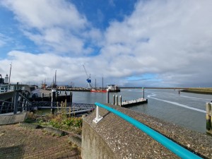 
                            <b>Kleine haven met schepen, kraan en aanlegsteigers langs het water.</b><br>
                                                        <b>ISO:</b> 50 | <b>Sluitertijd:</b> 1/3484 | <b>Diafragma:</b> f/2.2 | <b>Datum:</b> 2025-08-17

                        