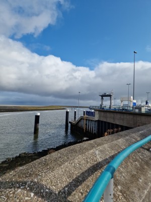 
                            <b>Betonnen sluis met steigers, palen en bedieningsplatform aan het water.</b><br>
                                                        <b>ISO:</b> 50 | <b>Sluitertijd:</b> 1/14493 | <b>Diafragma:</b> f/1.8 | <b>Datum:</b> 2025-08-17

                        