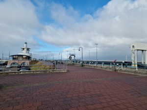 
                            <b>Pier met wandelpad, lantaarnpalen en vuurtoren aan het water.</b><br>
                                                        <b>ISO:</b> 50 | <b>Sluitertijd:</b> 1/11111 | <b>Diafragma:</b> f/1.8 | <b>Datum:</b> 2025-08-17

                        