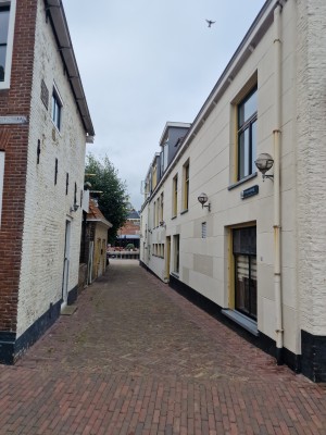 
                            <b>Smal steegje met bakstenen bestrating tussen oude stadsgebouwen.</b><br>
                                                        <b>ISO:</b> 50 | <b>Sluitertijd:</b> 1/6757 | <b>Diafragma:</b> f/1.8 | <b>Datum:</b> 2025-08-17

                        