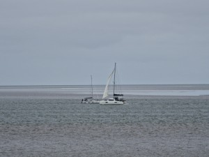 
                            <b>Twee zeilboten varen, catamaran met halfgehesen zeil op voorgrond.</b><br>
                                                        <b>ISO:</b> 50 | <b>Sluitertijd:</b> 1/341 | <b>Diafragma:</b> f/4.9 | <b>Datum:</b> 2025-08-17

                        
