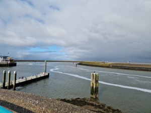 
                            <b>Havengeul met steiger, meerpalen en betonning in stromend water.</b><br>
                                                        <b>ISO:</b> 50 | <b>Sluitertijd:</b> 1/14493 | <b>Diafragma:</b> f/1.8 | <b>Datum:</b> 2025-08-17

                        