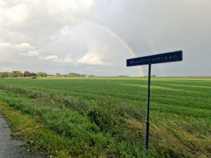 
                            <b>Straatnaambord Woudbloemlaan.</b><br>
                                                        <b>ISO:</b> 50 | <b>Sluitertijd:</b> 1/677 | <b>Diafragma:</b> f/2.2 | <b>Datum:</b> 2025-08-05

                        