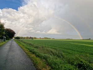 
                            <b>Stralende dubbele regenboog met heldere, gescheiden kleurbanden.</b><br>
                                                        <b>ISO:</b> 50 | <b>Sluitertijd:</b> 1/1468 | <b>Diafragma:</b> f/2.2 | <b>Datum:</b> 2025-08-05

                        