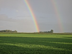 
                            <b>Dubbele regenboog met heldere kleuren.</b><br>
                                                        <b>ISO:</b> 50 | <b>Sluitertijd:</b> 1/1555 | <b>Diafragma:</b> f/2.4 | <b>Datum:</b> 2025-08-05

                        