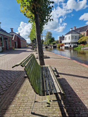
                            <b>Kromgetrokken, beschadigde houten bank om een boomstam.</b><br>
                                                        <b>ISO:</b> 50 | <b>Sluitertijd:</b> 199203/200000000 | <b>Diafragma:</b> f/1.8 | <b>Datum:</b> 2025-09-14

                        