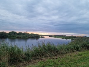 
                            <b>Rustige rivier met rietoevers en eilandjes.</b><br>
                                                        <b>ISO:</b> 50 | <b>Sluitertijd:</b> 1/180 | <b>Diafragma:</b> f/1.8 | <b>Datum:</b> 2025-09-09

                        