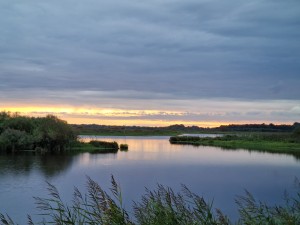 
                            <b>Rustige rivier met rietoevers en eilandjes.</b><br>
                                                        <b>ISO:</b> 50 | <b>Sluitertijd:</b> 1/50 | <b>Diafragma:</b> f/2.4 | <b>Datum:</b> 2025-09-09

                        