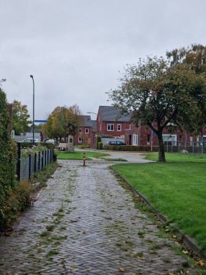 
                            <b>Klinkerpad met paaltje in woonwijk.</b><br>
                                                        <b>ISO:</b> 50 | <b>Sluitertijd:</b> 1/1328 | <b>Diafragma:</b> f/2.4 | <b>Datum:</b> 2025-10-12

                        