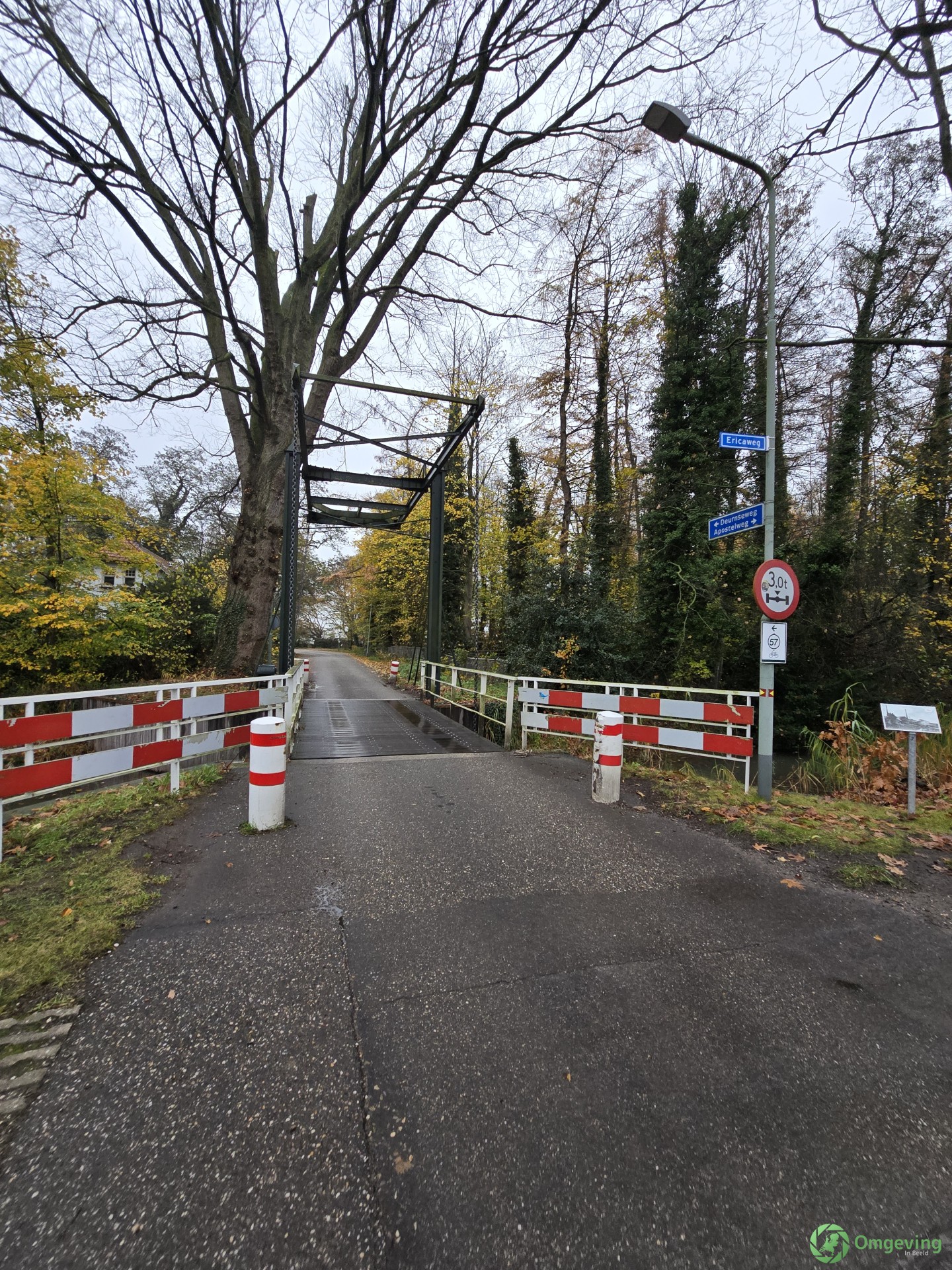 Foto van Griendtsveen