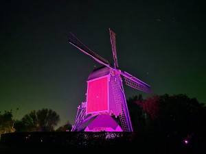 
                            <b>Traditionele windmolen opvallend paars verlicht.</b><br>
                                                        <b>ISO:</b> 3200 | <b>Sluitertijd:</b> 1666/10000 | <b>Diafragma:</b> f/1.7 | <b>Datum:</b> 2025-11-17

                        