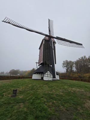 
                            <b>Traditionele standerdmolen met grote wieken en houten romp.</b><br>
                                                        <b>ISO:</b> 80 | <b>Sluitertijd:</b> 1/359 | <b>Diafragma:</b> f/2.2 | <b>Datum:</b> 2025-11-15

                        