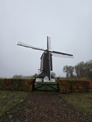 
                            <b>Traditionele houten windmolen met stilstaande wieken.</b><br>
                                                        <b>ISO:</b> 50 | <b>Sluitertijd:</b> 1/233 | <b>Diafragma:</b> f/2.2 | <b>Datum:</b> 2025-11-15

                        